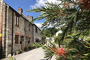 The Bolthole, self catering holiday cottage at Milton Combe near Dartmoor, Devon